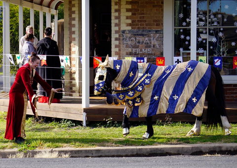 Newbridge Winter Solstice Festival - Tourism TAS 2