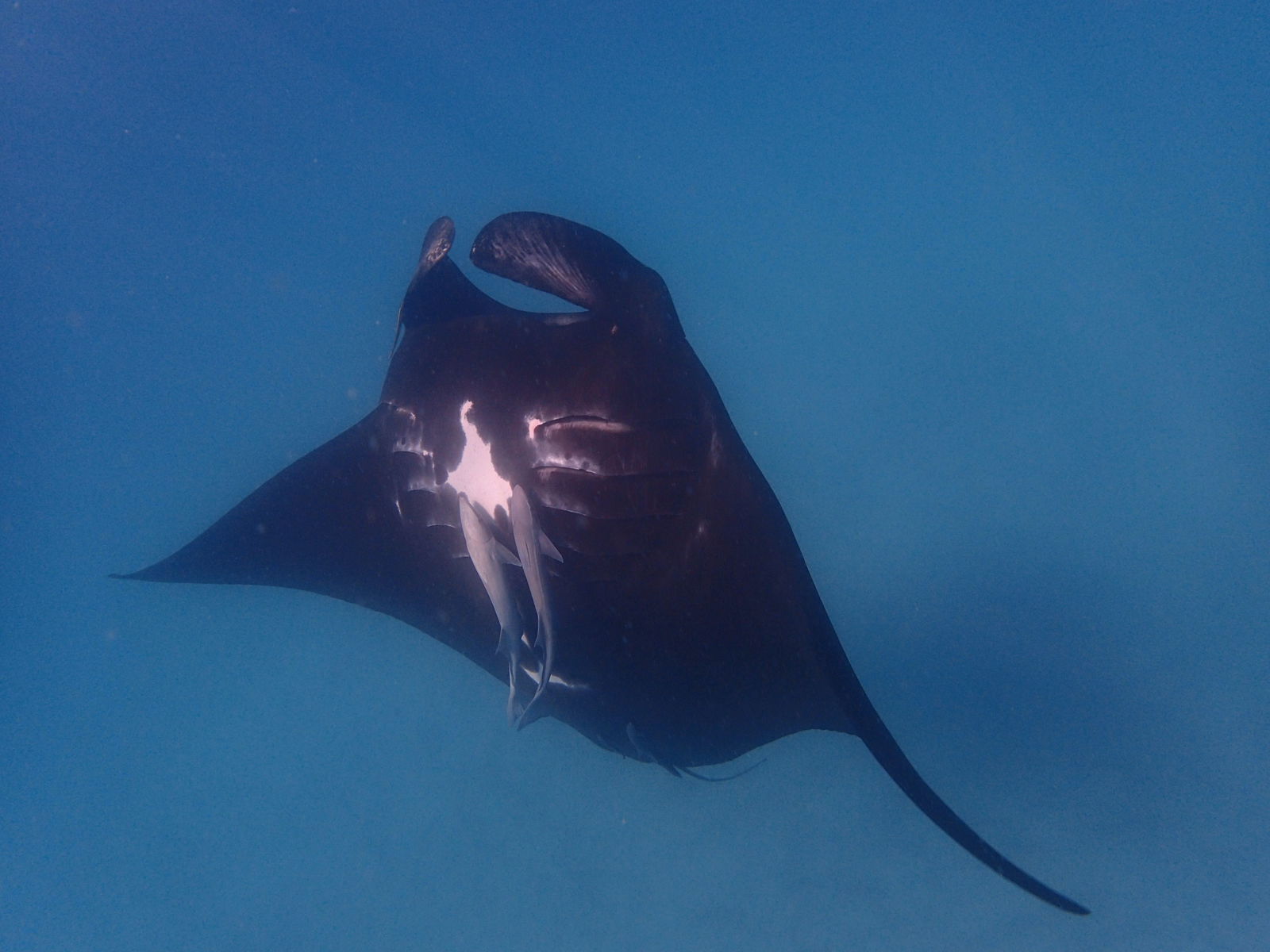 South Carnarvon WA Tourism TAS