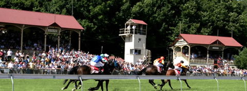 Tumut Derby Day - Tourism TAS 1