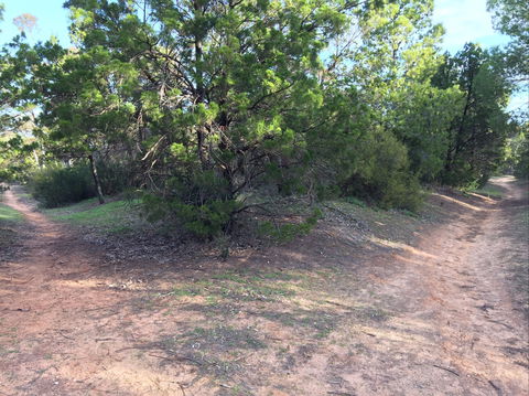 Victoria Park Moonta Monthly Walks - Hobart Tourism 1