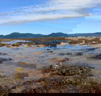 Walk to the Reef - Tourism TAS