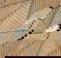 WA Now  Tom Mller Monolith Scores - Virtual Exhibition - Tourism TAS