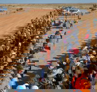 28th Marree Australasian CAMEL CUP 3 July 2021 - Tourism TAS