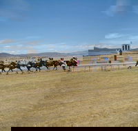 Adaminaby Cup Race Day - Tourism TAS