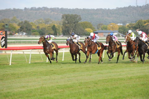 Aggies Race Day - Tourism TAS 0