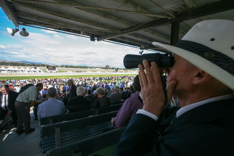 Albury Racing Club Boxing Day Races - Hobart Tourism 1