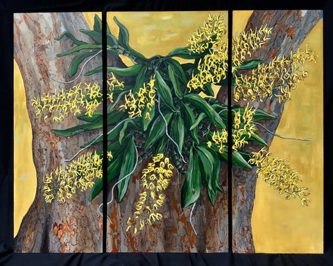 A Still Life - Solo Exhibition  Karen Sedaitis - Hobart Tourism 1