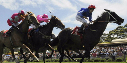 Batemans Bay Cup - Tourism TAS 0