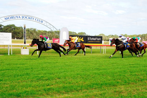 Batemans Bay Cup - Tourism TAS 2