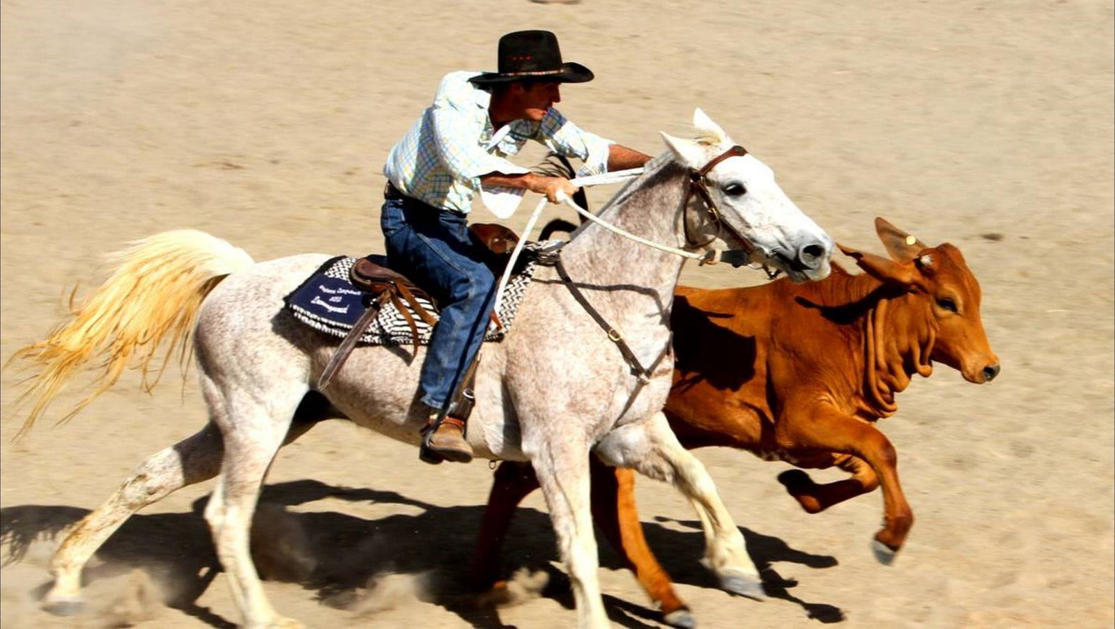 Bedourie QLD Hobart Tourism