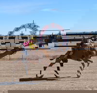 Bedourie Camel and Pig Races and Camp oven Cook-off - Hobart Tourism