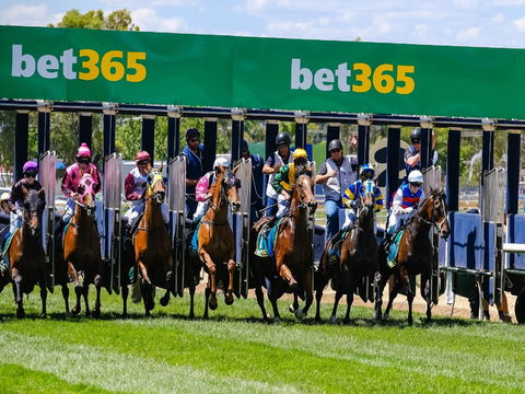Bet 365 Caulfield Cup Day At Wodonga Race Course - Tourism TAS 1