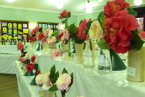Blackheath Flower And Craft Show - Tourism TAS 1