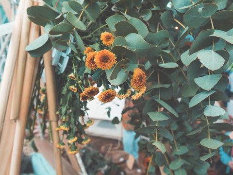 Boho Luxe Market - Adelaide - Tourism TAS 1