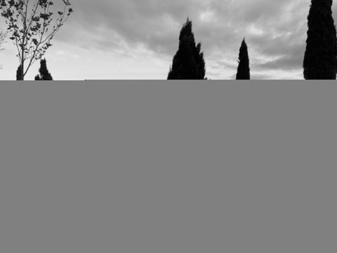 Cheese And Wine Experience - Tourism TAS 1