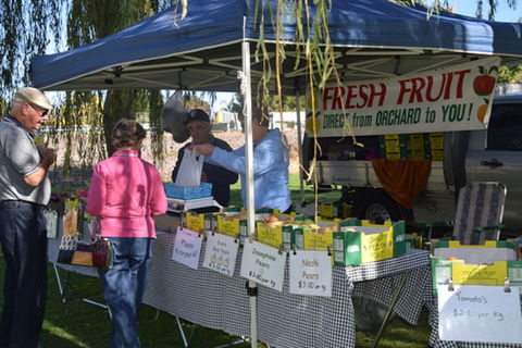 Corowa Rotary Federation Farmers And Variety Market - Hobart Tourism 1