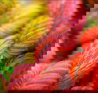 Creative Fibre - Tourism TAS
