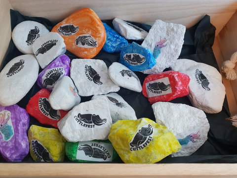 Cuttle-Rock Challenge - CUTTLEFEST 2020 - Whyalla - Tourism TAS 0