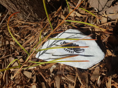 Cuttle-Rock Challenge - CUTTLEFEST 2020 - Whyalla - Tourism TAS 2