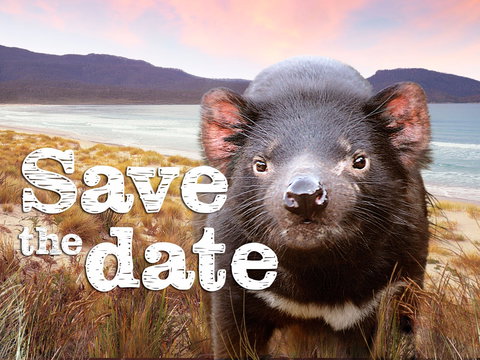 Cygnet Market - Hobart Tourism 0