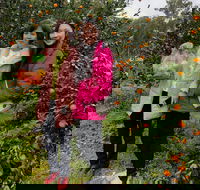 Fruit Taste Adventure Tours - Hobart Tourism