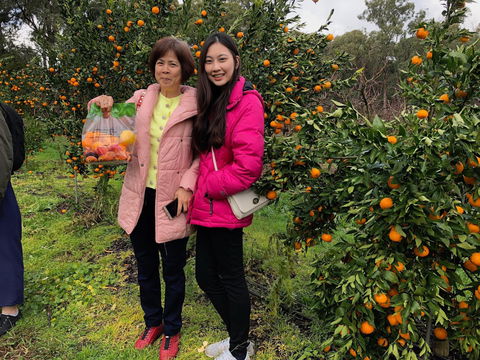 Fruit Taste Adventure Tours - Hobart Tourism 0