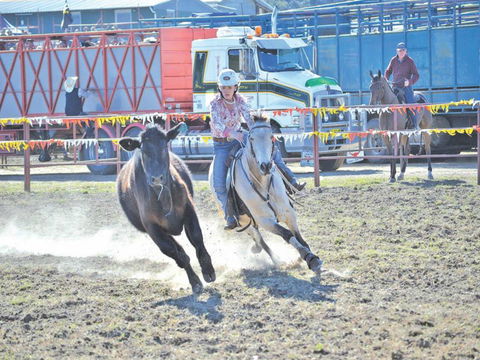 Gresford  Campdraft And Rodeo - Hobart Tourism 0