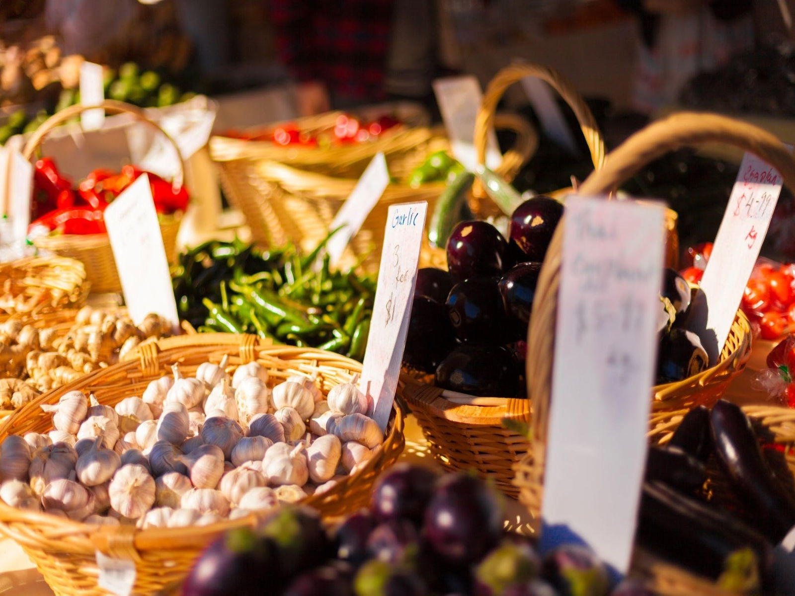 Kuraby QLD Hobart Tourism