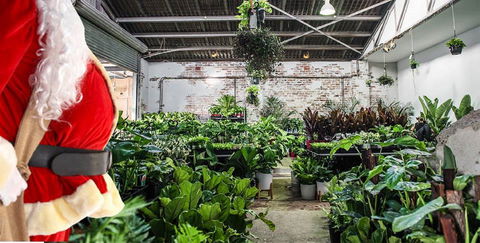 Newcastle - Huge Indoor Plant Warehouse Sale - Christmas Bonanza - Hobart Tourism 0