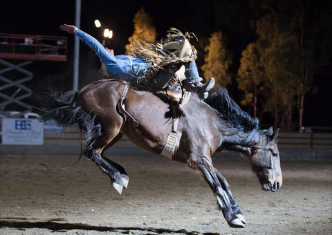 North Queensland Elite Rodeo - Tourism TAS 1