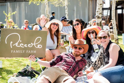 Owen Toyota Murrumbidgee Music Festival - Tourism TAS 1