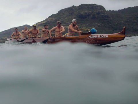 Paddling Film Festival - Coffs Harbour (Sawtell) - Tourism TAS 1