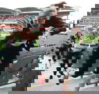 Stadium Stomp Adelaide Oval - Postponed - Tourism TAS