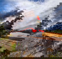 The Bellarine Railway Santa Train Specials - Hobart Tourism