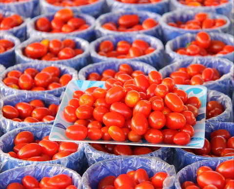 The Entrance Market - Tourism TAS 2