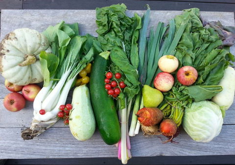 Wingham Farmers Market - Hobart Tourism 0
