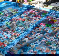 Wyee Markets - Tourism TAS