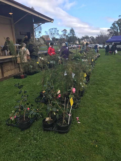 Yea Railway Market - Hobart Tourism 2
