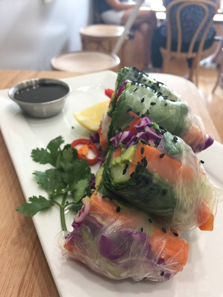 Queens Domain TAS Hobart Tourism