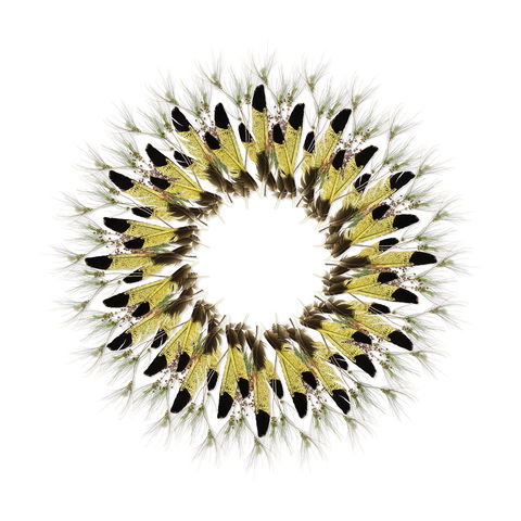 Adelaide Parklands Art Prize  Finalists Exhibition & Sale 2020 - Tourism TAS 1