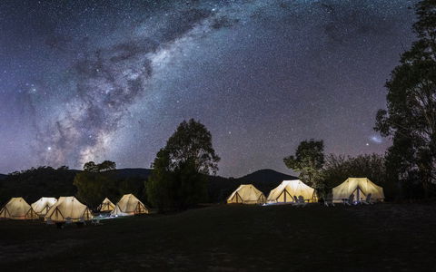 A Wild Night Out - Spring - Tourism TAS 6
