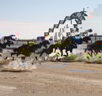Bedourie Races and Rodeo - Hobart Tourism