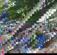 Bellingen Community Markets - Hobart Tourism