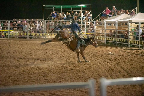 Black Opal Bull And Bronc Ride - Hobart Tourism 2