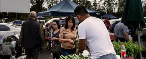 Blacktown Markets - Tourism TAS 0