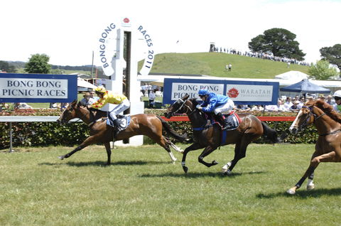 Bong Bong Picnic Races - Tourism TAS 0