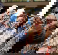 CinefestOZ Film Festival - Tourism TAS