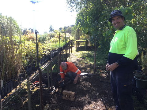 Conservation Volunteers Australia Townsville - Ocean View Nursery - Tourism TAS 1