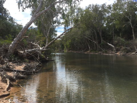 Conservation Volunteers Australia Townsville - Creekwatch - Tourism TAS 2