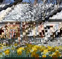 Daffodils at Rydal - Tourism TAS